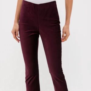 Tuckernuck Plum Velvet Leggings